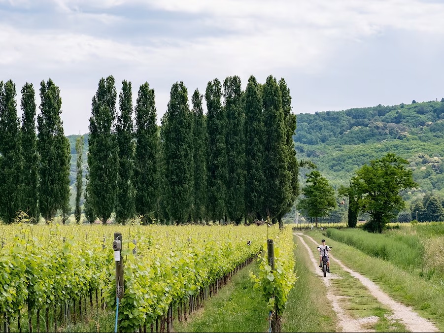 Team and community activities